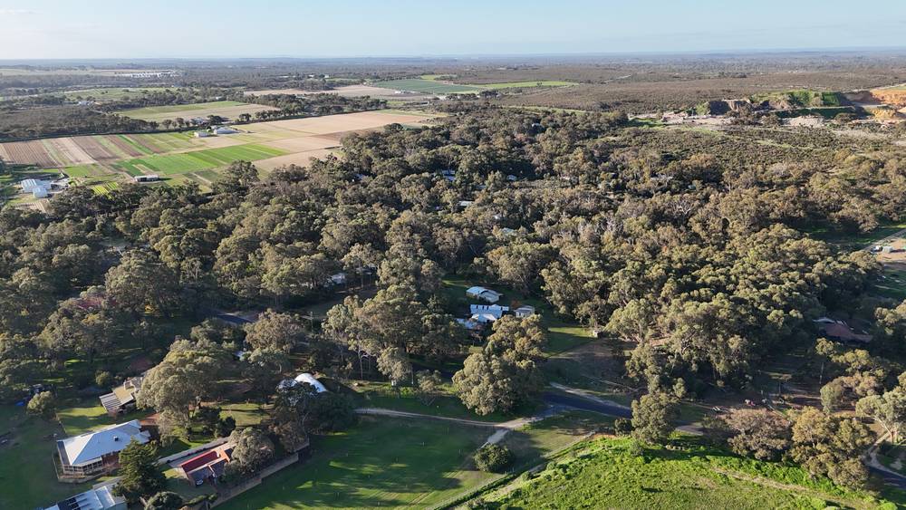 99 Gibbs Road, Nowergup, WA 6032