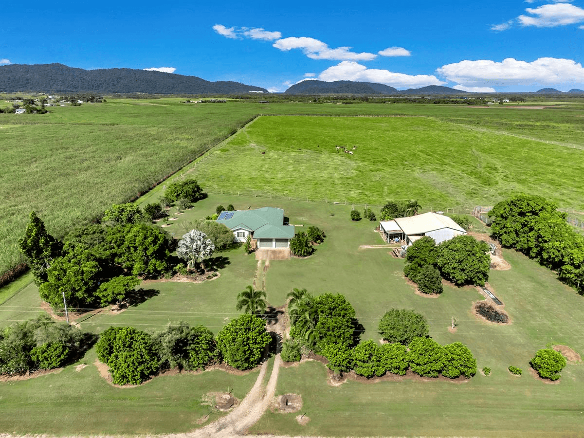 31 Karra Road, Mourilyan, QLD 4858