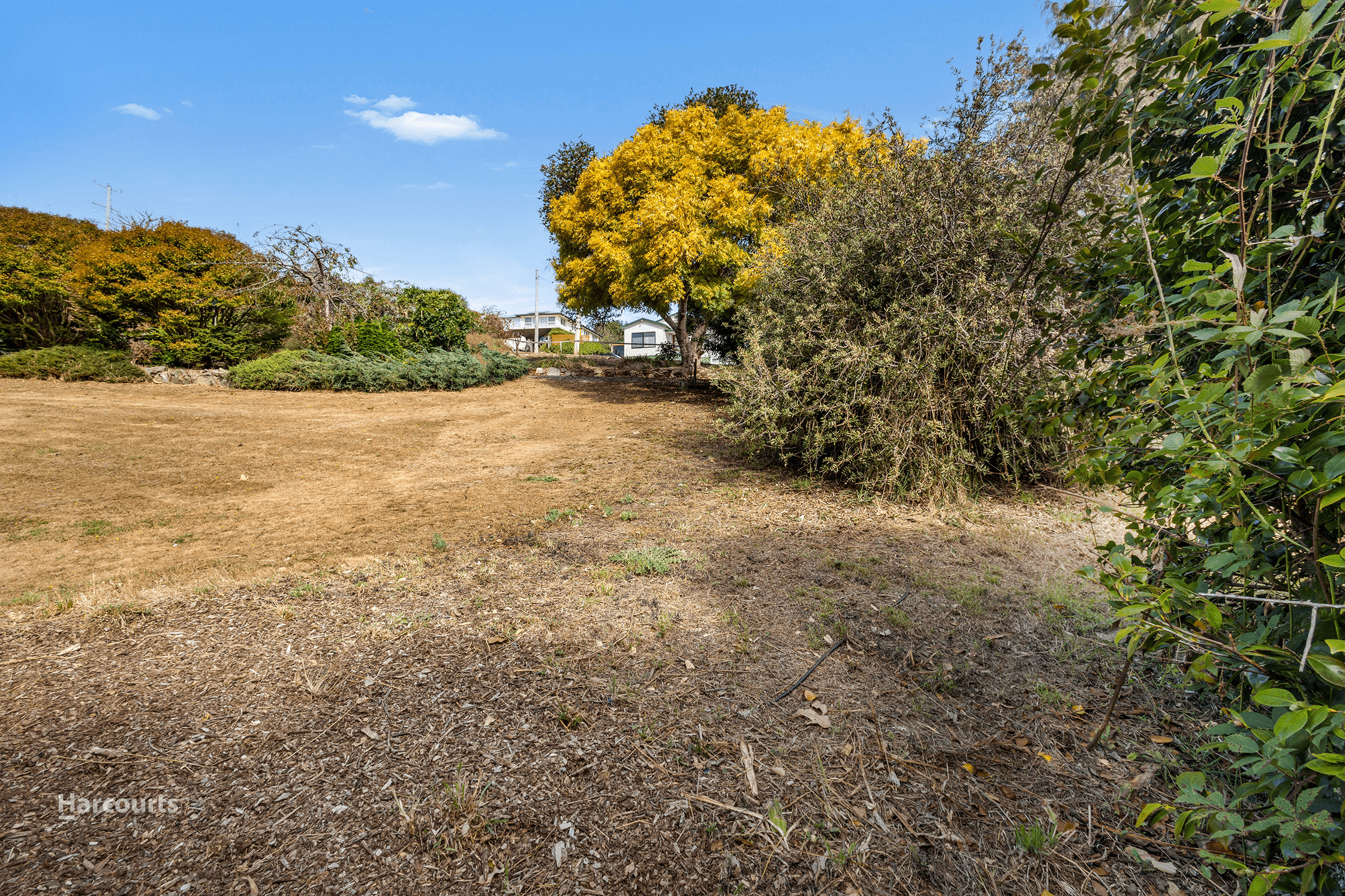 49a South Road, PENGUIN, TAS 7316