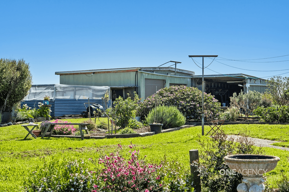 824 Comeback Road, Marrawah, TAS 7330