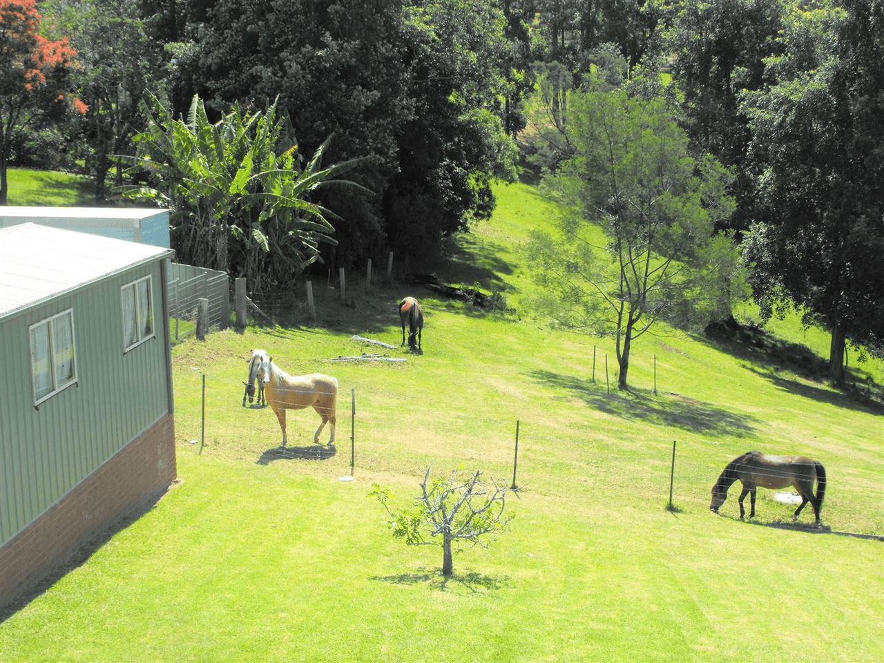 13 The Quarterdeck, Conjola Park, NSW 2539