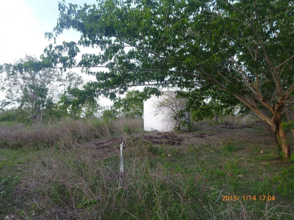 92 Alligator Creek Road, Alligator Creek, QLD 4816