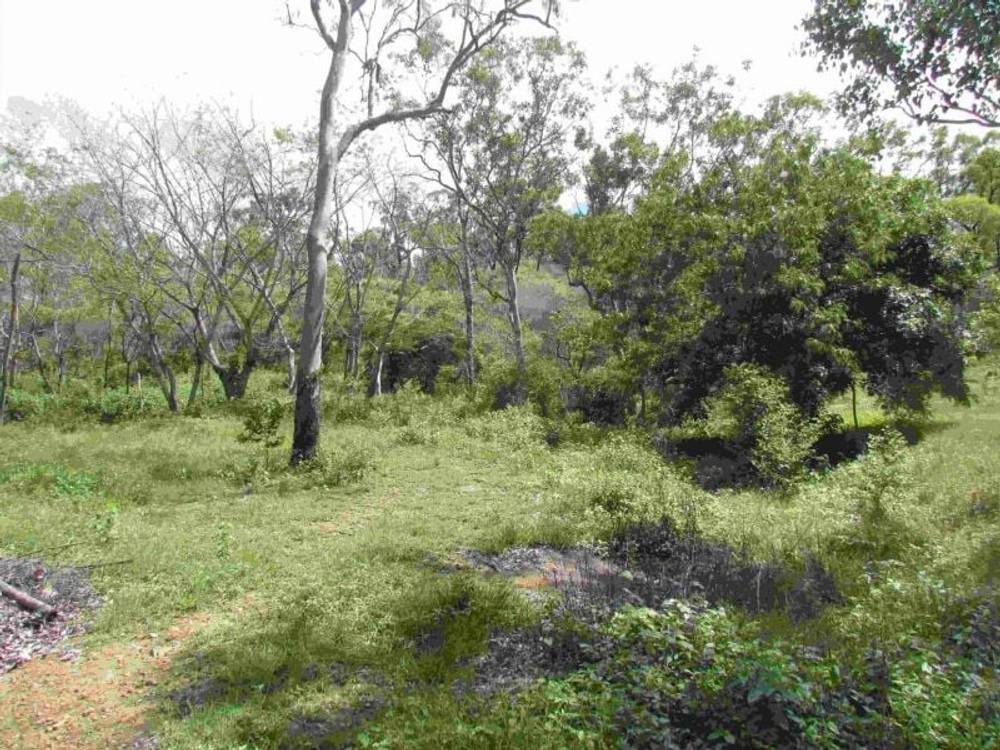 92 Alligator Creek Road, Alligator Creek, QLD 4816