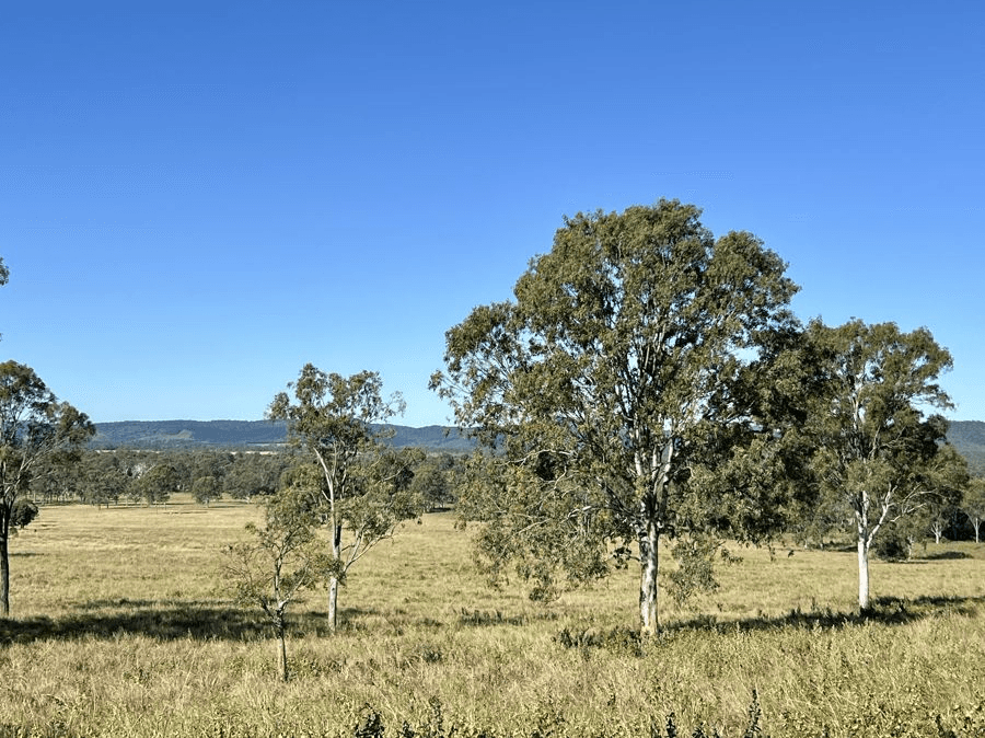 Lot 172 Gympie Woolooga Road, LOWER WONGA, QLD 4570