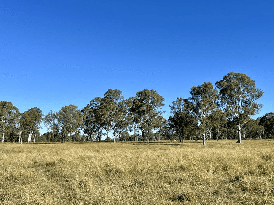 Lot 172 Gympie Woolooga Road, LOWER WONGA, QLD 4570