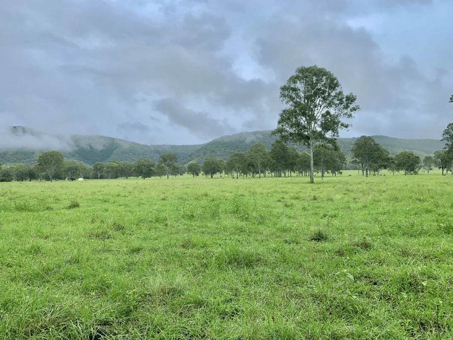 Lot 172 Gympie Woolooga Road, LOWER WONGA, QLD 4570