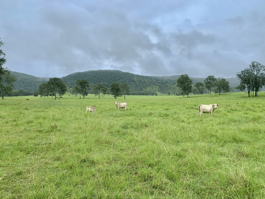 Lot 172 Gympie Woolooga Road, LOWER WONGA, QLD 4570