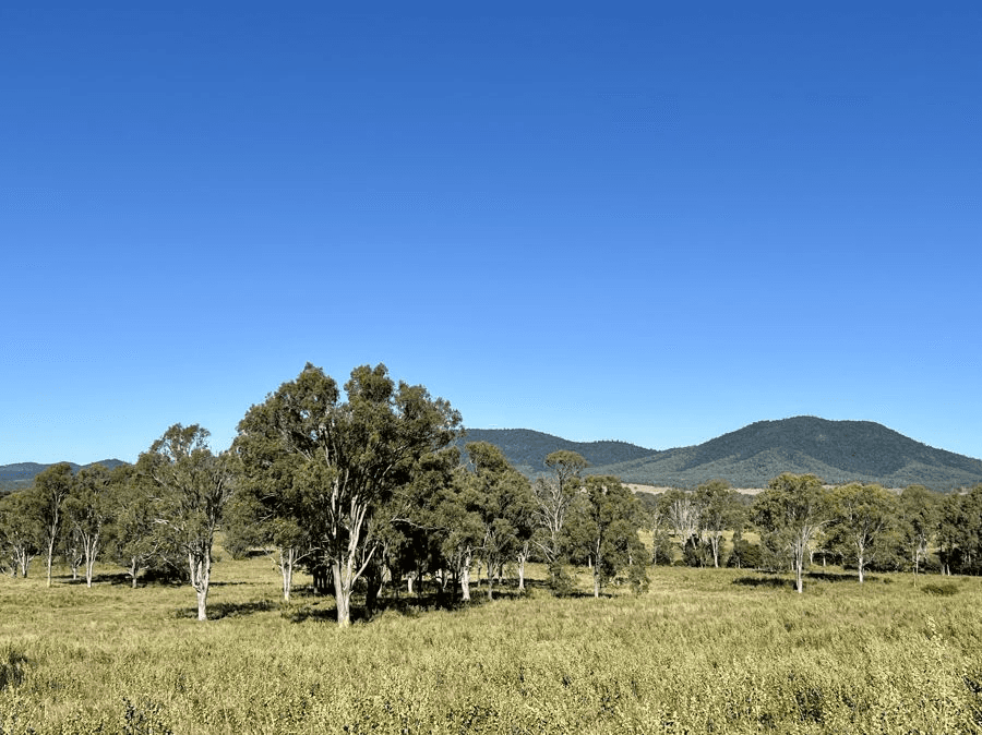 Lot 172 Gympie Woolooga Road, LOWER WONGA, QLD 4570