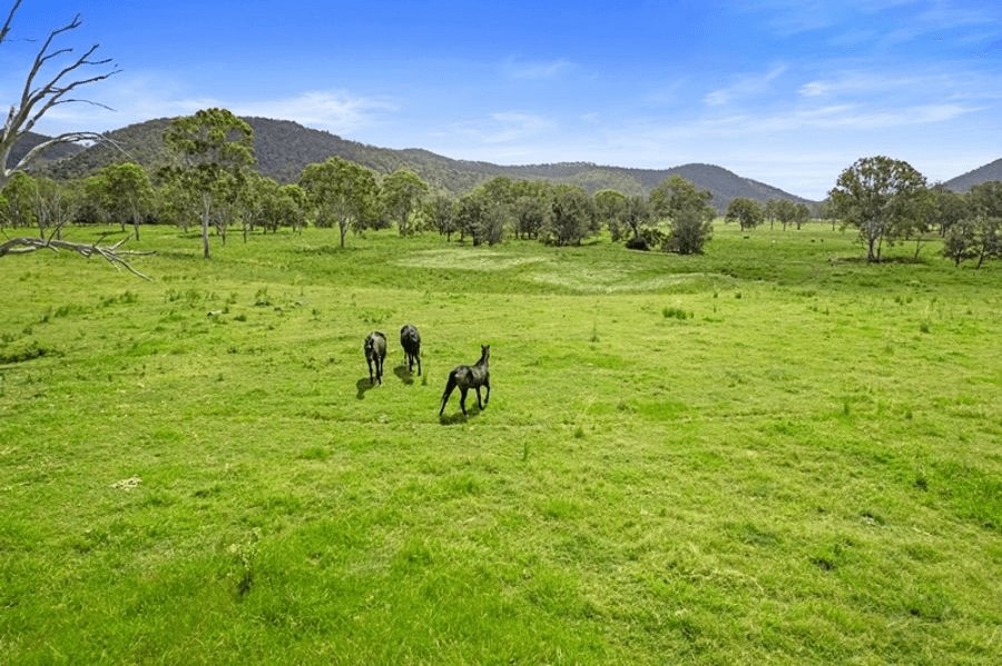 Lot 172 Gympie Woolooga Road, LOWER WONGA, QLD 4570