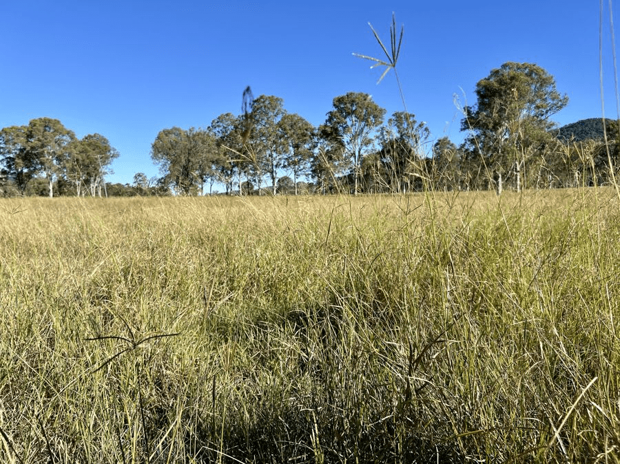 Lot 172 Gympie Woolooga Road, LOWER WONGA, QLD 4570