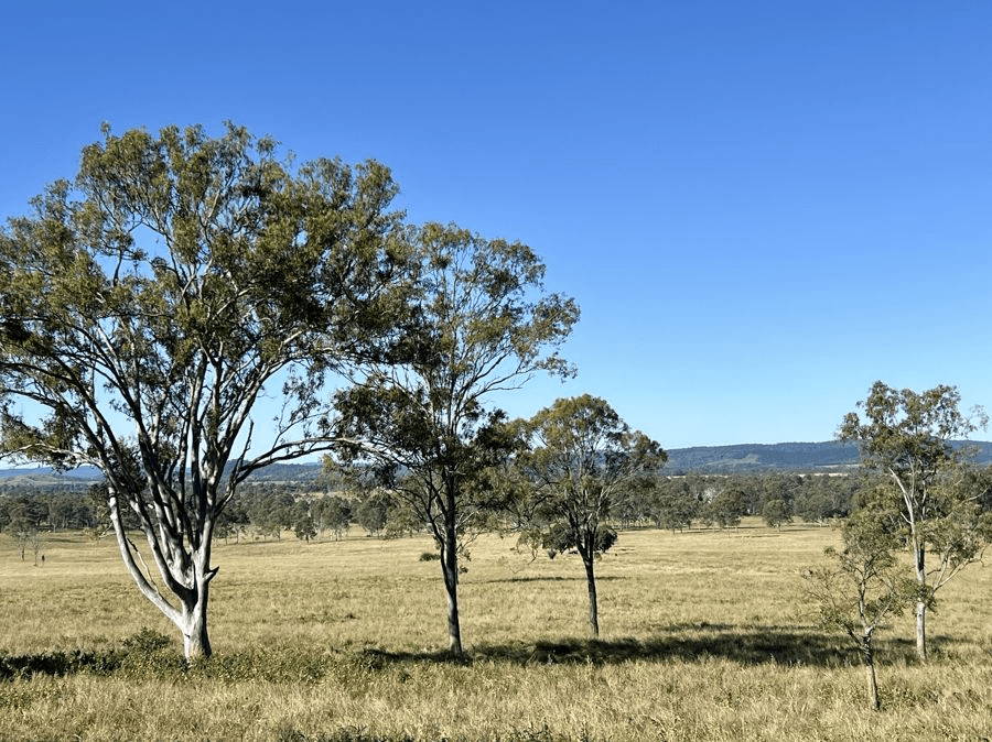 Lot 172 Gympie Woolooga Road, LOWER WONGA, QLD 4570