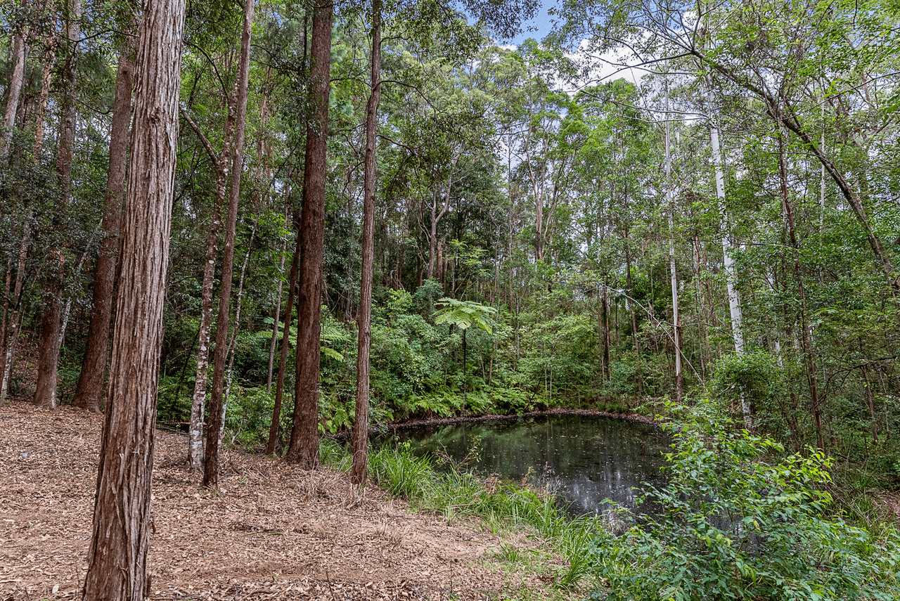 100 Eudlo School Road, EUDLO, QLD 4554