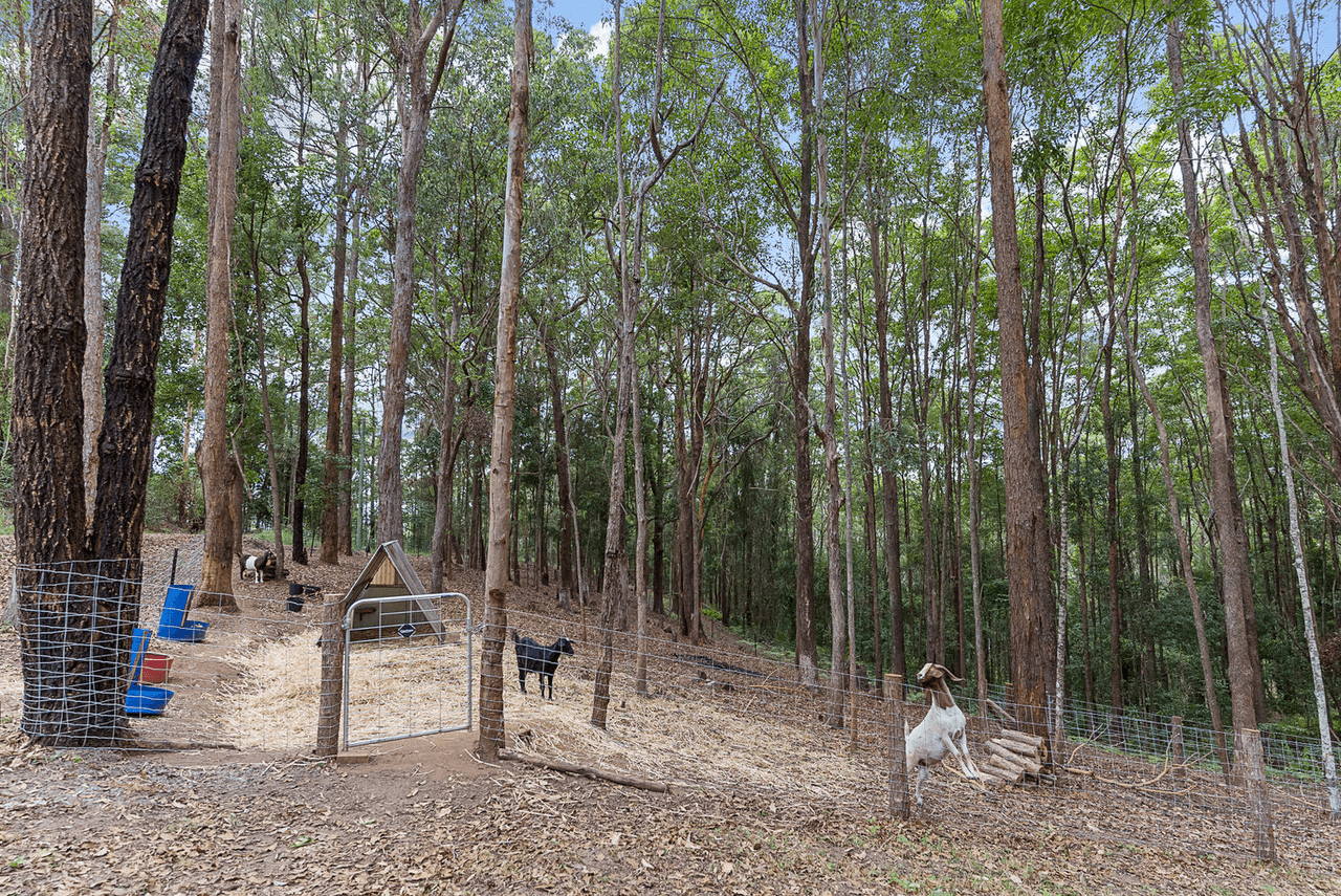 100 Eudlo School Road, EUDLO, QLD 4554