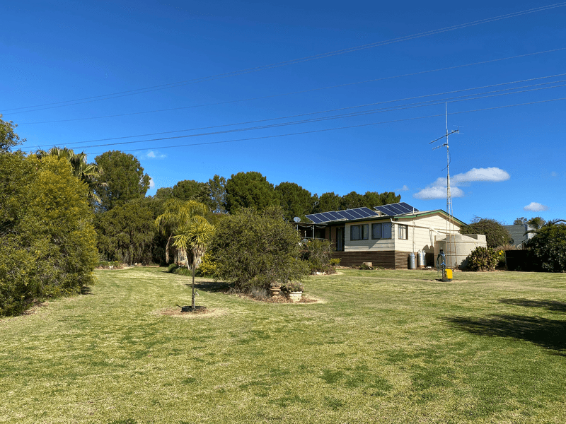 'Nyrang' Brooks Lane, LAKE CARGELLIGO, NSW 2672