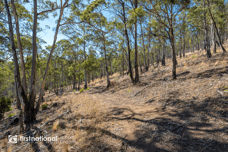 Lot 3 Bruny Island Main Road, NORTH BRUNY, TAS 7150