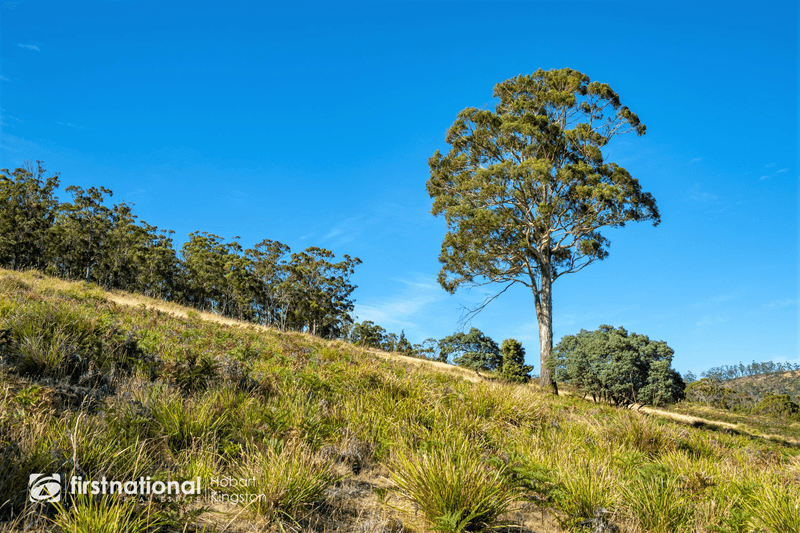 Lot 3 Bruny Island Main Road, NORTH BRUNY, TAS 7150