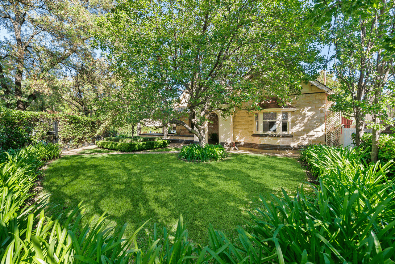15 Glen Avenue, UNLEY PARK, SA 5061