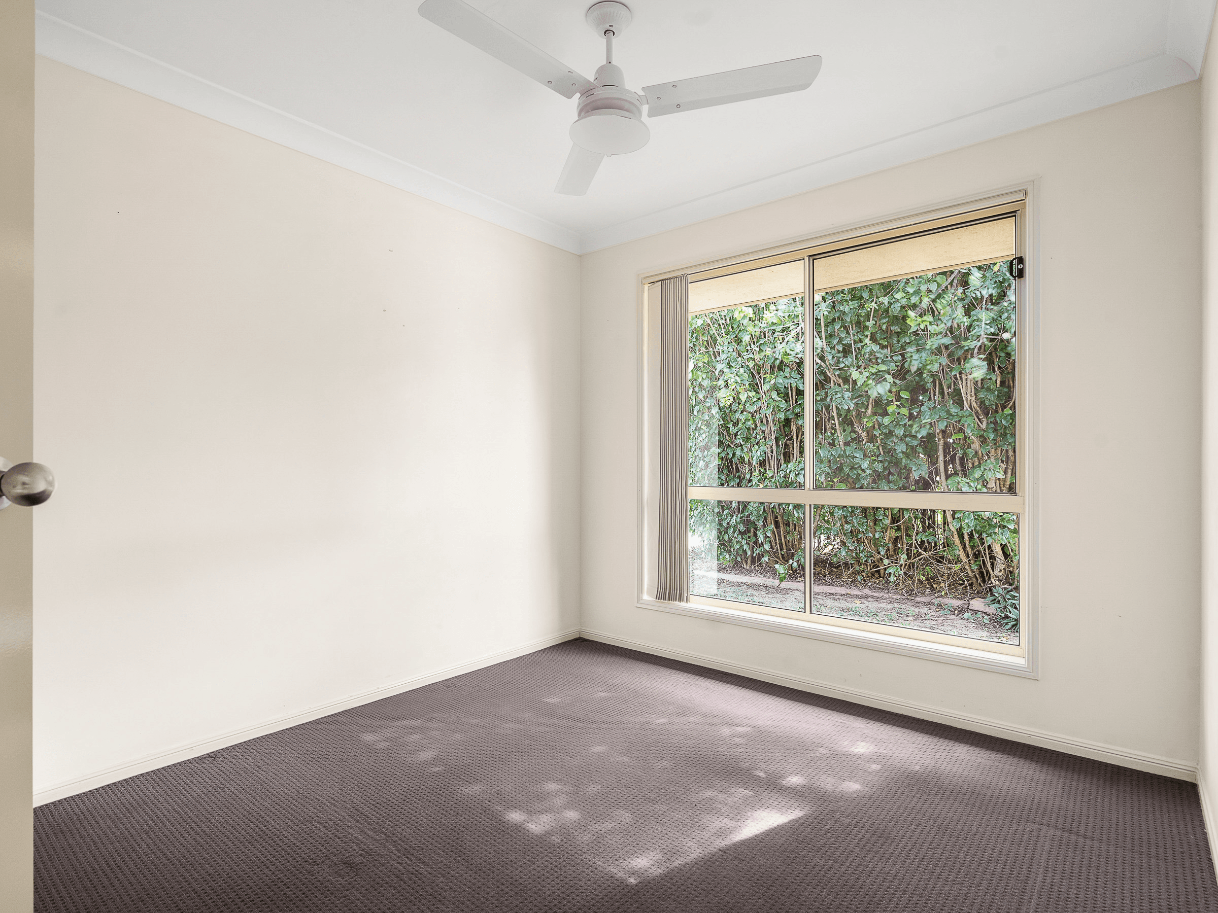 5 Lomandra Drive, Morayfield, QLD 4506