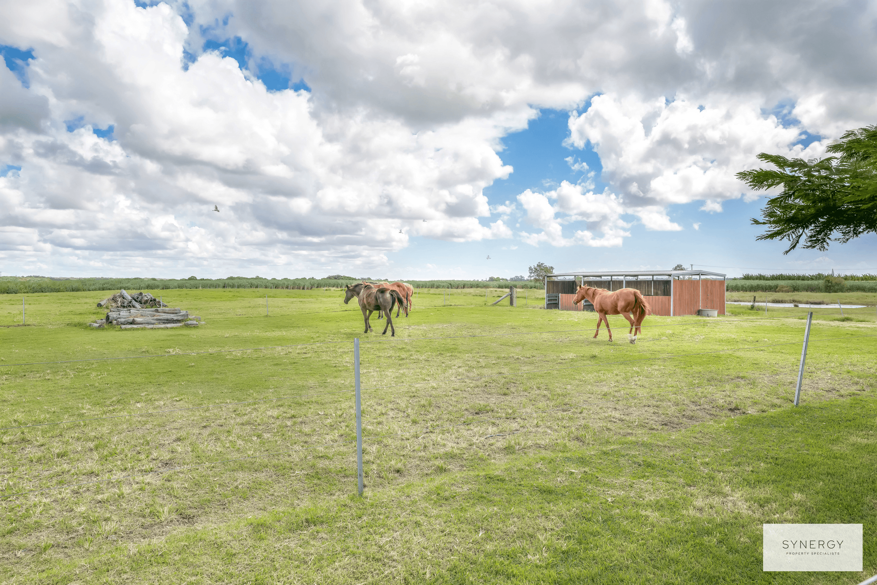 215 Hills Road, WELCOME CREEK, QLD 4670