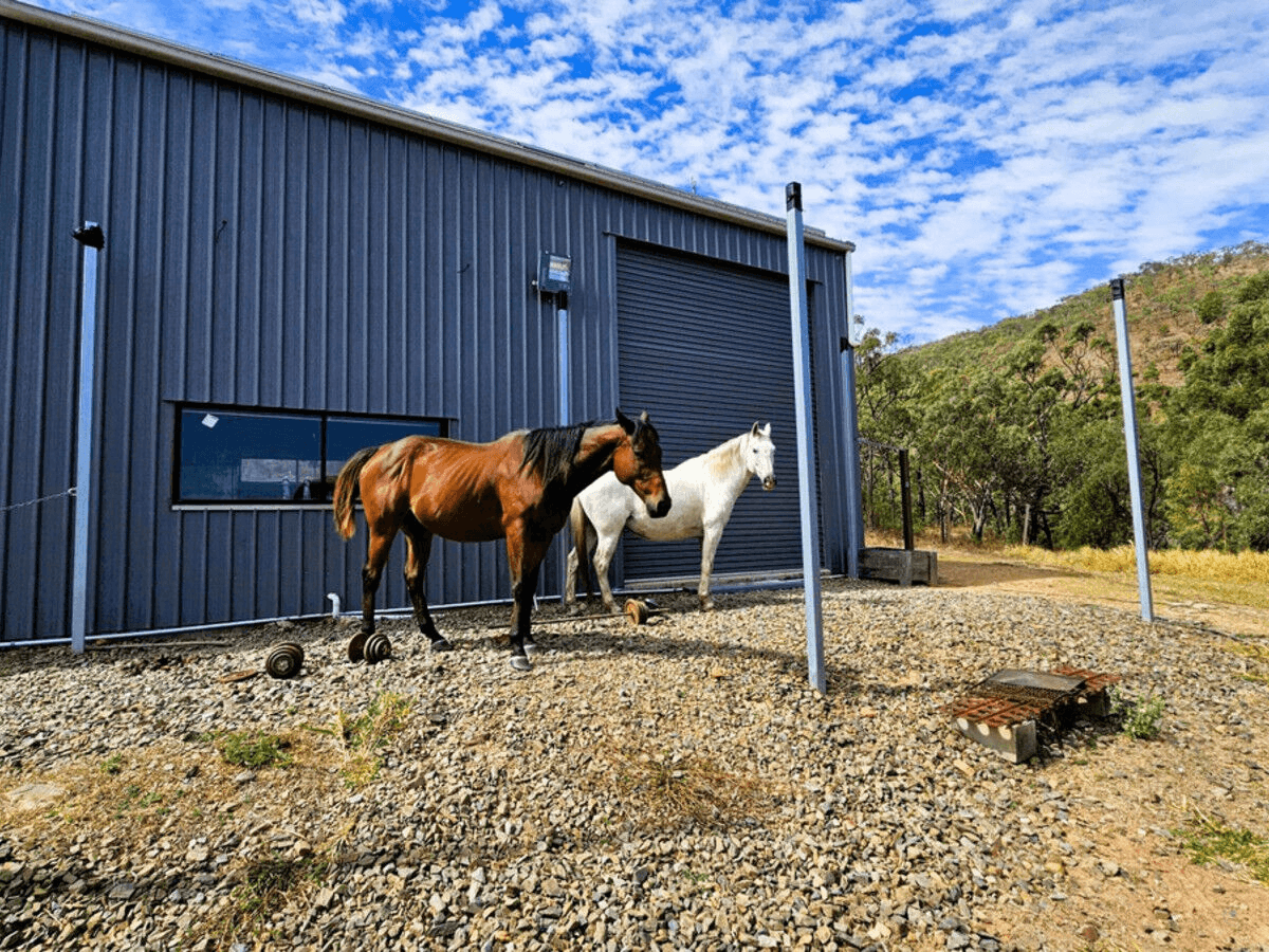 134 Lemontree Drive, Mutchilba, QLD 4872