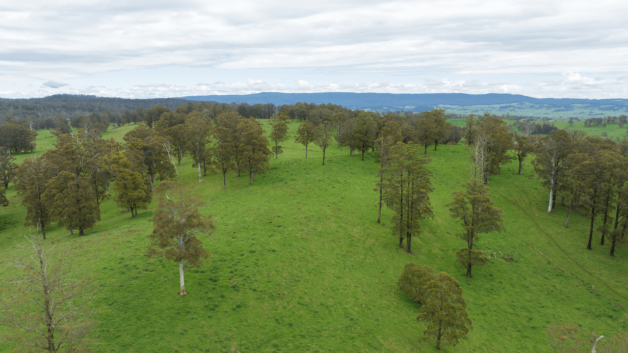 145 Kangaroo Flat Road, WALCHA, NSW 2354