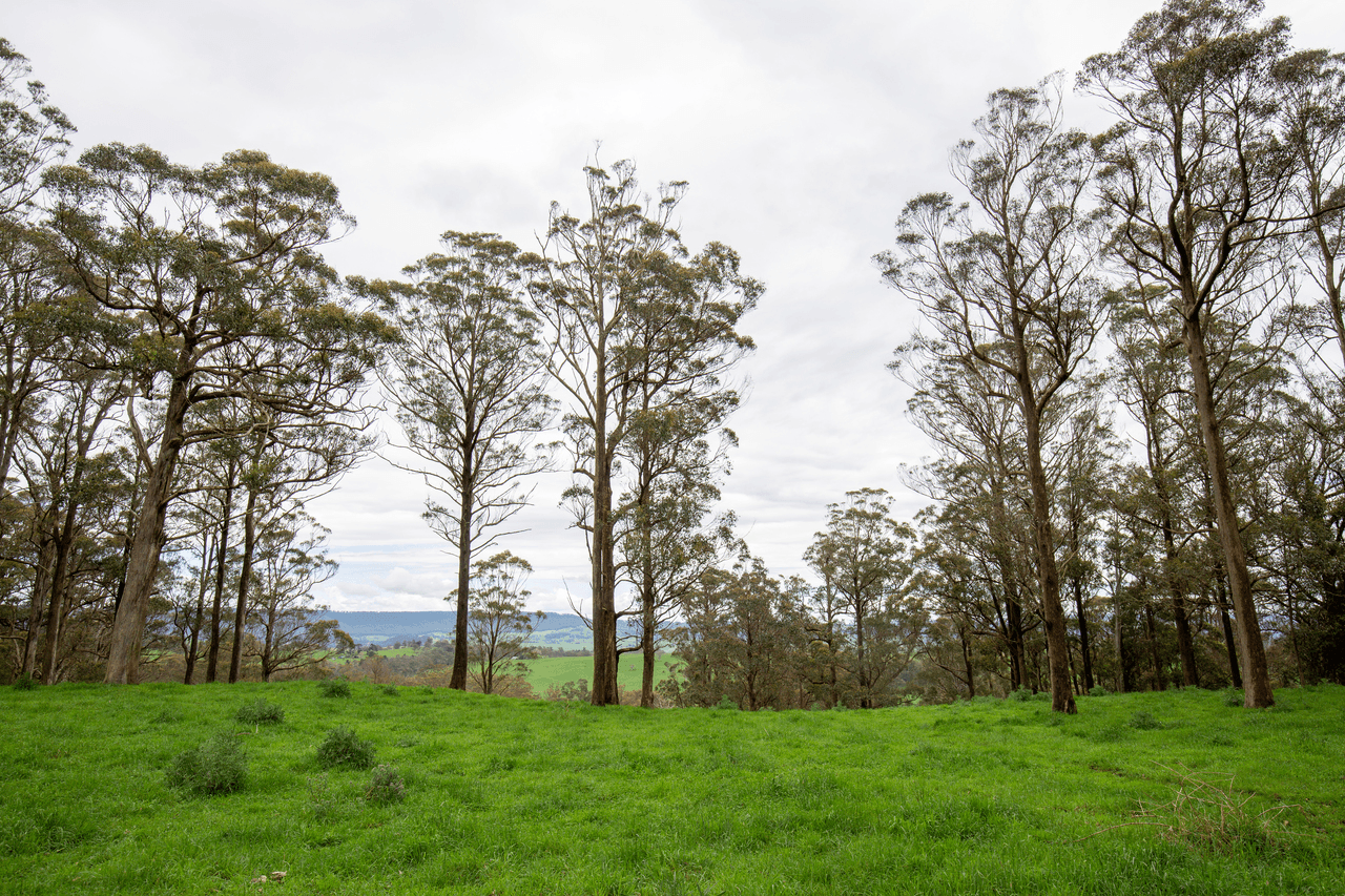 145 Kangaroo Flat Road, WALCHA, NSW 2354