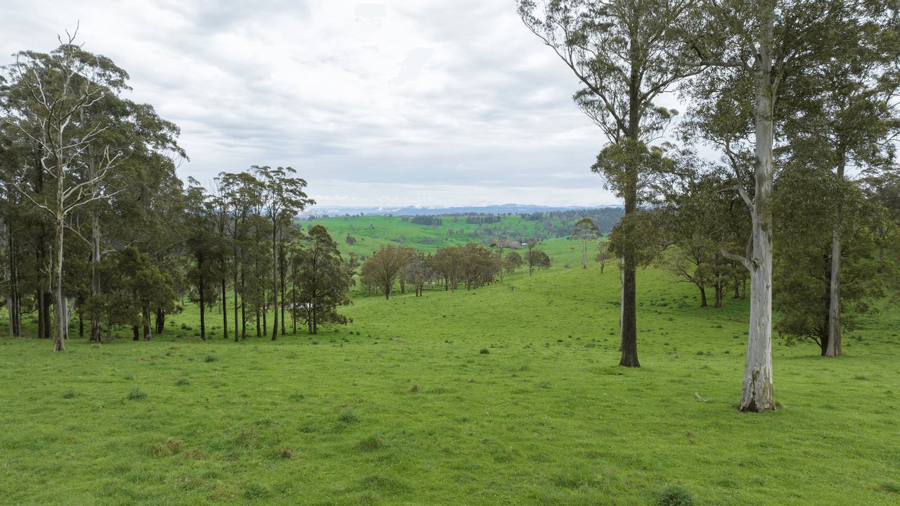 145 Kangaroo Flat Road, WALCHA, NSW 2354