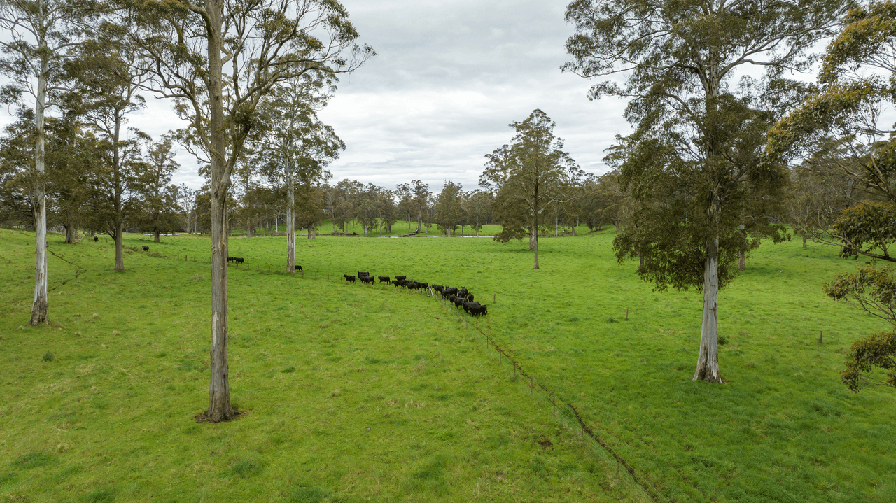 145 Kangaroo Flat Road, WALCHA, NSW 2354