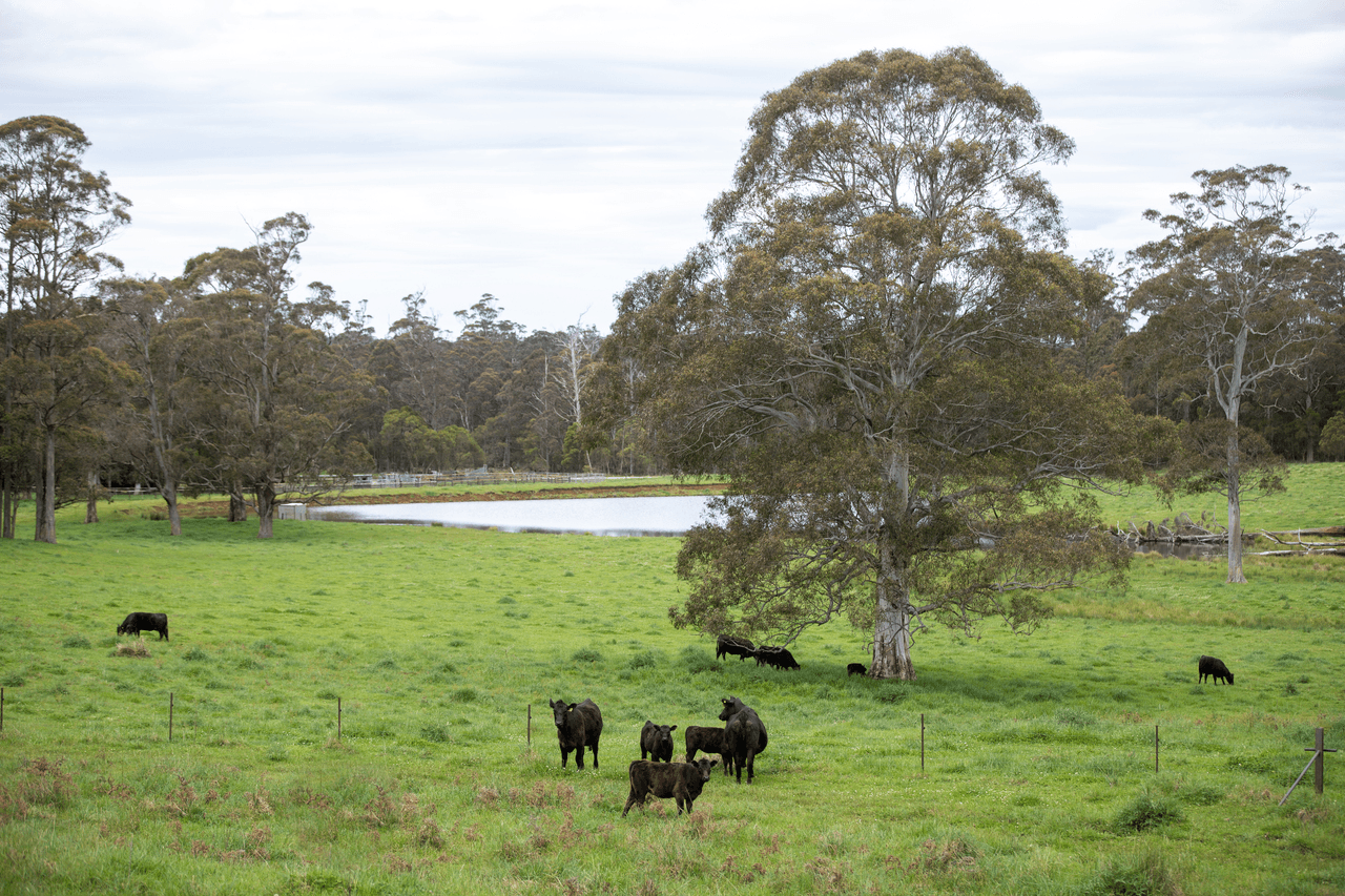 145 Kangaroo Flat Road, WALCHA, NSW 2354