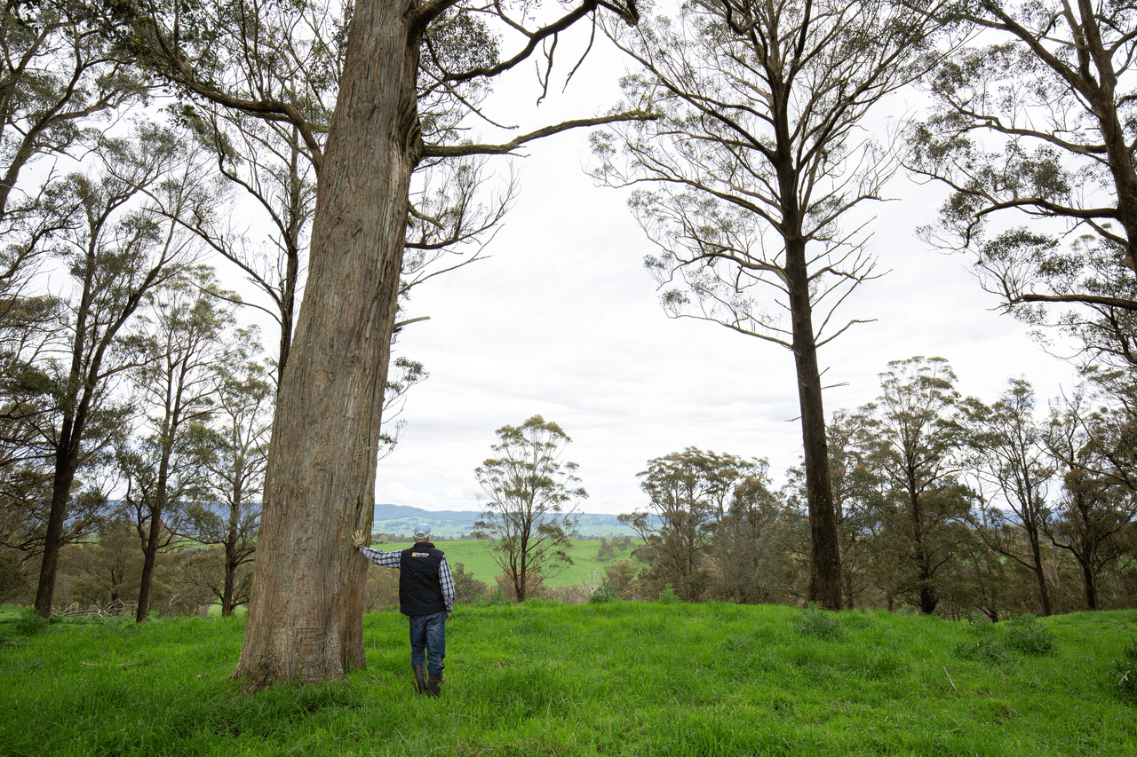 145 Kangaroo Flat Road, WALCHA, NSW 2354