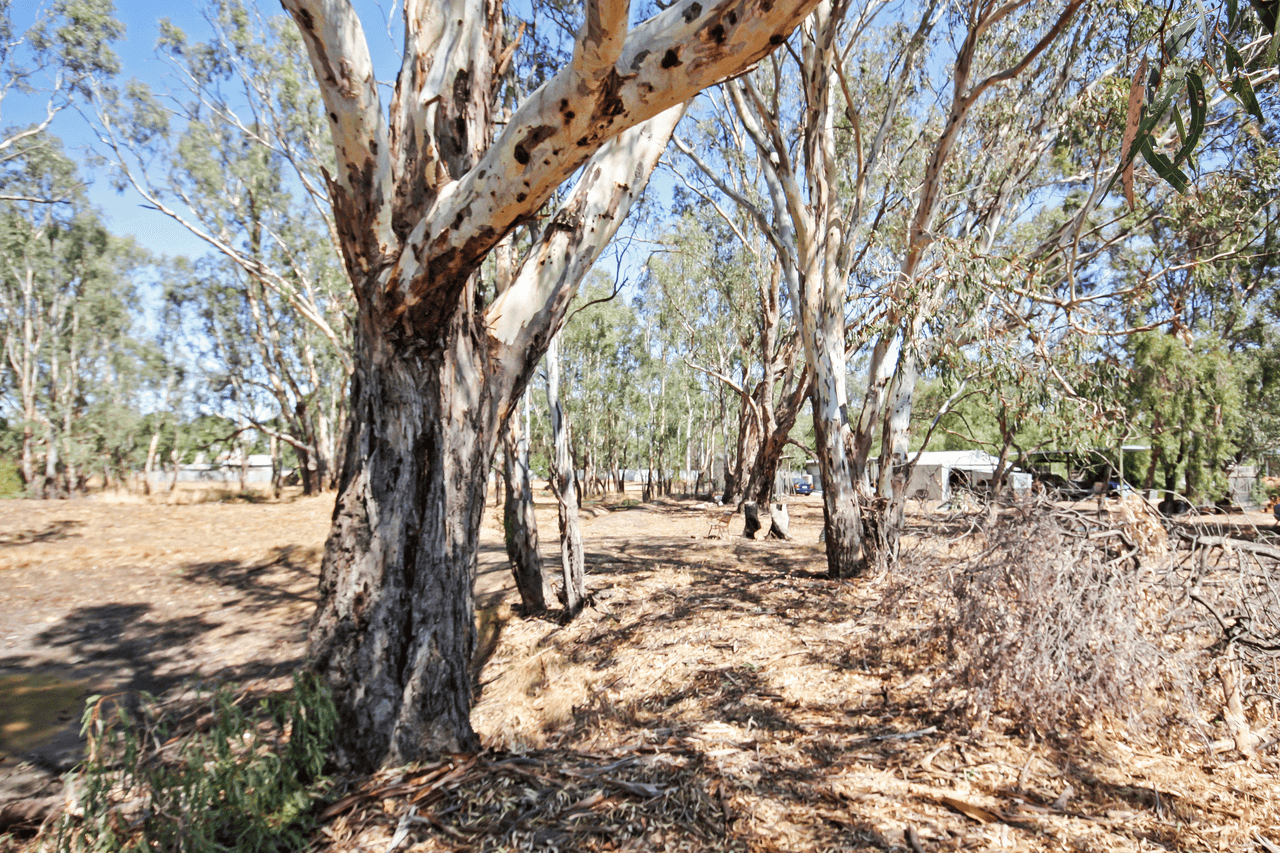 Lot 4 134 Winton-Glenrowan Road, WINTON, VIC 3673