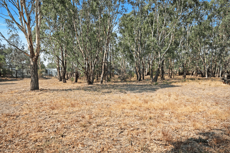 Lot 4 134 Winton-Glenrowan Road, WINTON, VIC 3673