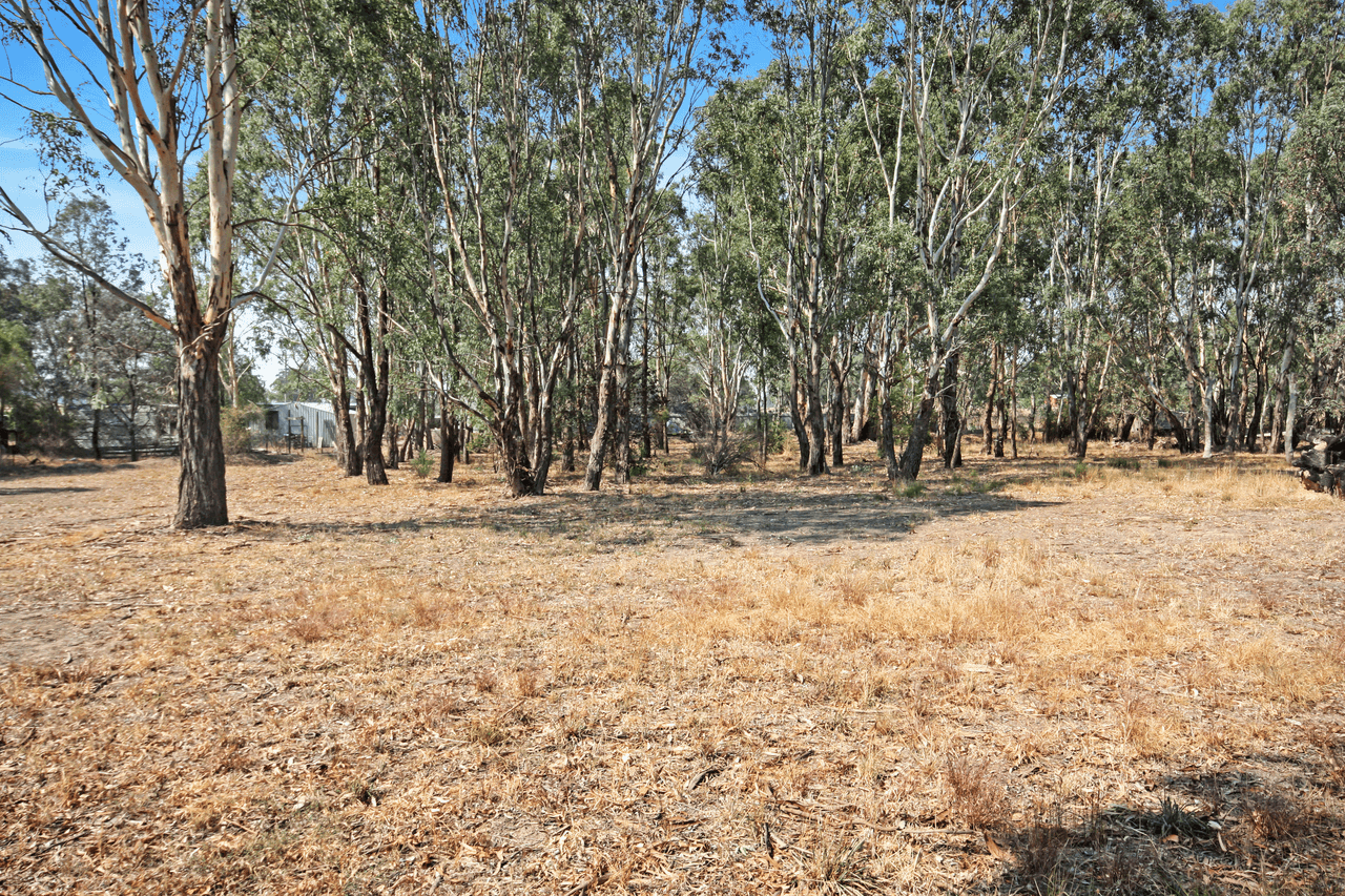 Lot 4 134 Winton-Glenrowan Road, WINTON, VIC 3673