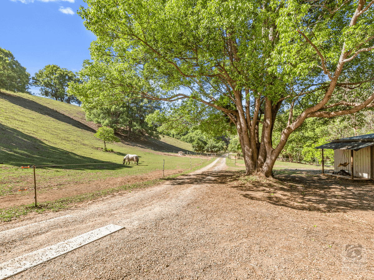 90 Malabar Avenue, Smiths Creek, NSW 2484