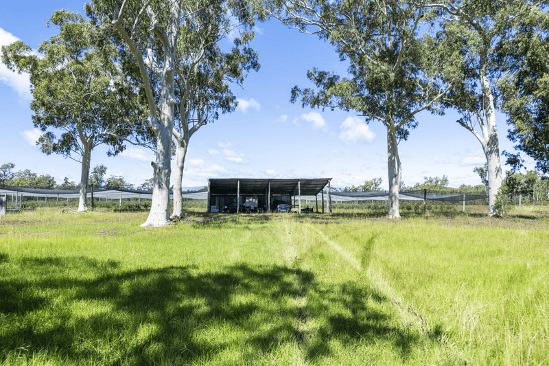 69 Florda Gold Drive, WELLS CROSSING, NSW 2460