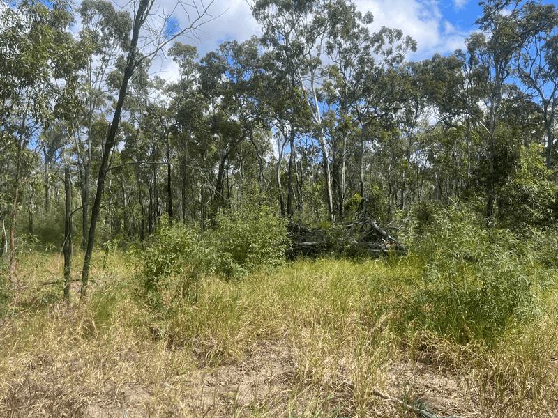 Lot 46/0 WHYTALLABAH Rd, EULEILAH, QLD 4674