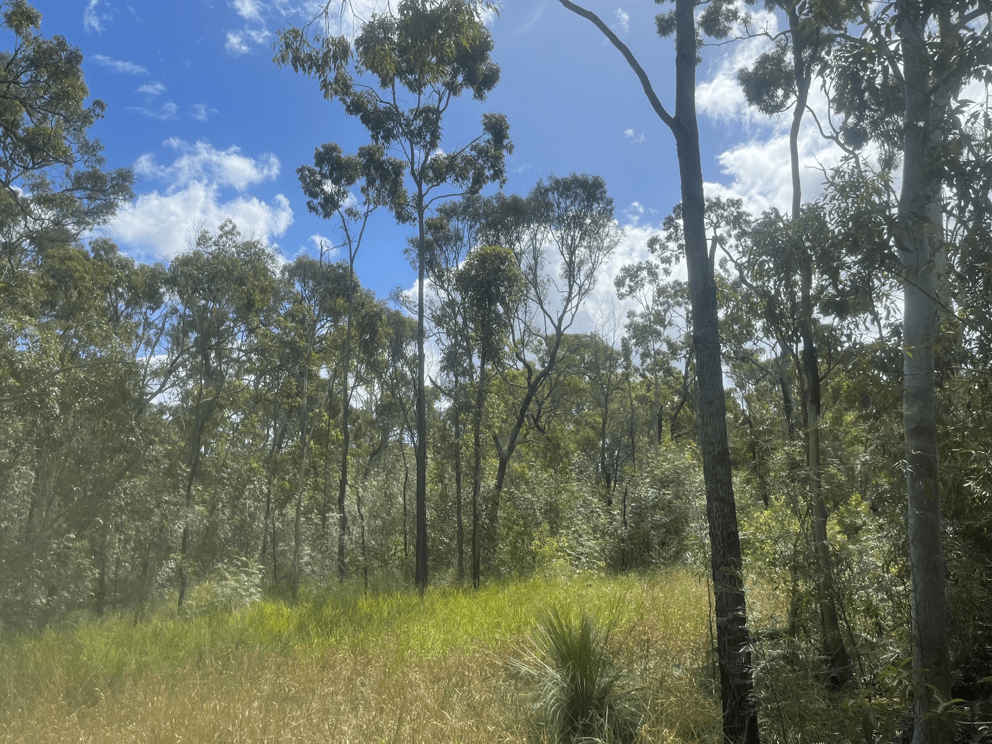 Lot 46/0 WHYTALLABAH Rd, EULEILAH, QLD 4674