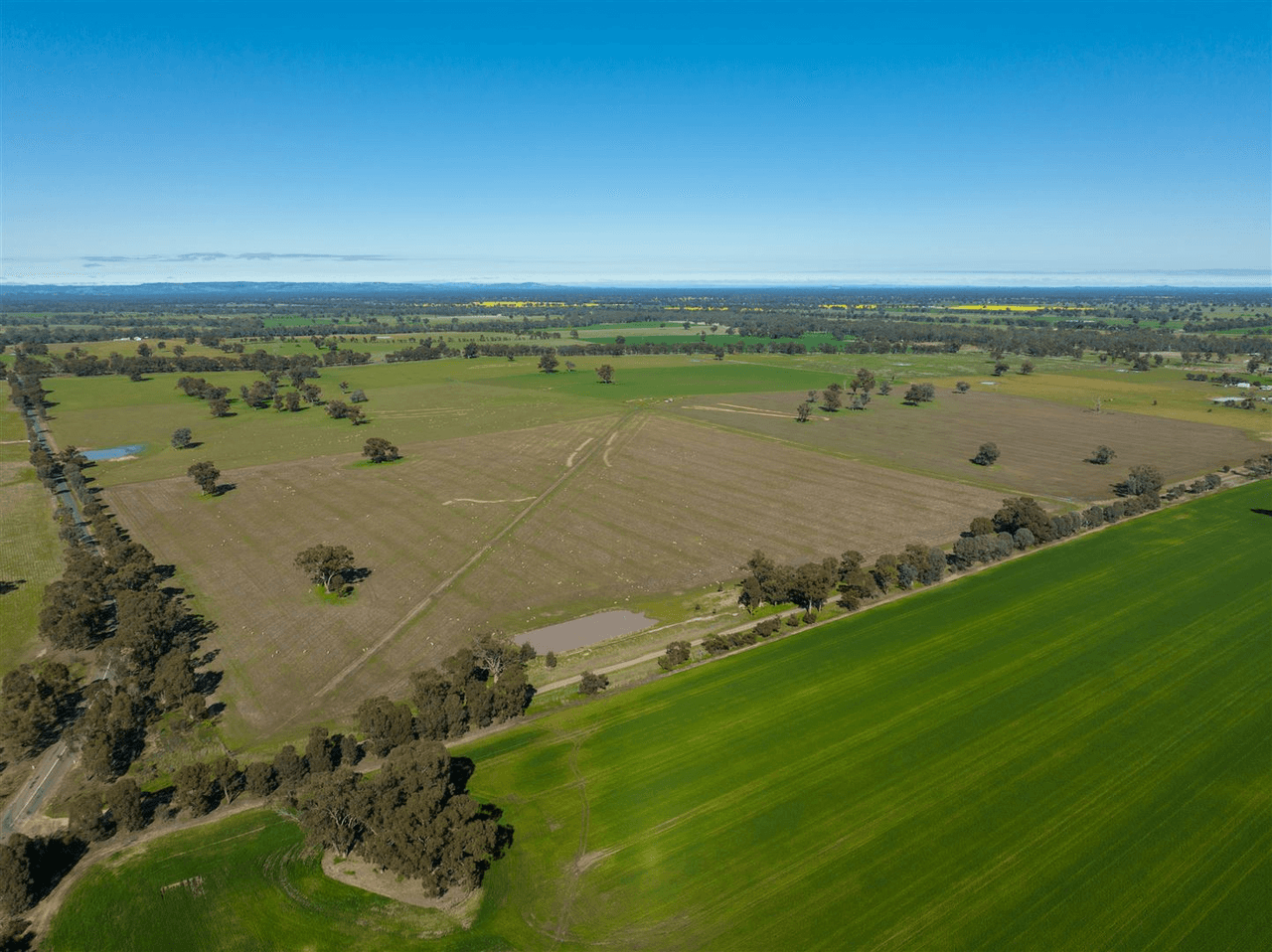 509 Pine Lodge Road, MIEPOLL, VIC 3666