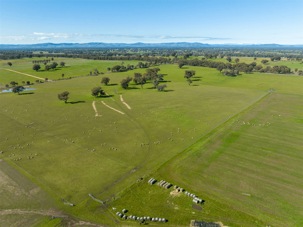 509 Pine Lodge Road, MIEPOLL, VIC 3666