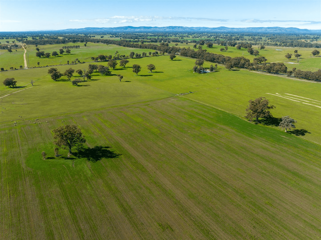 509 Pine Lodge Road, MIEPOLL, VIC 3666