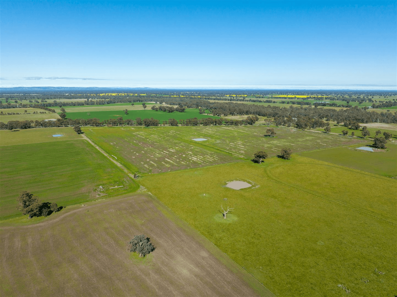 509 Pine Lodge Road, MIEPOLL, VIC 3666