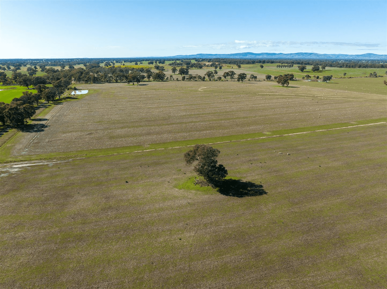 509 Pine Lodge Road, MIEPOLL, VIC 3666