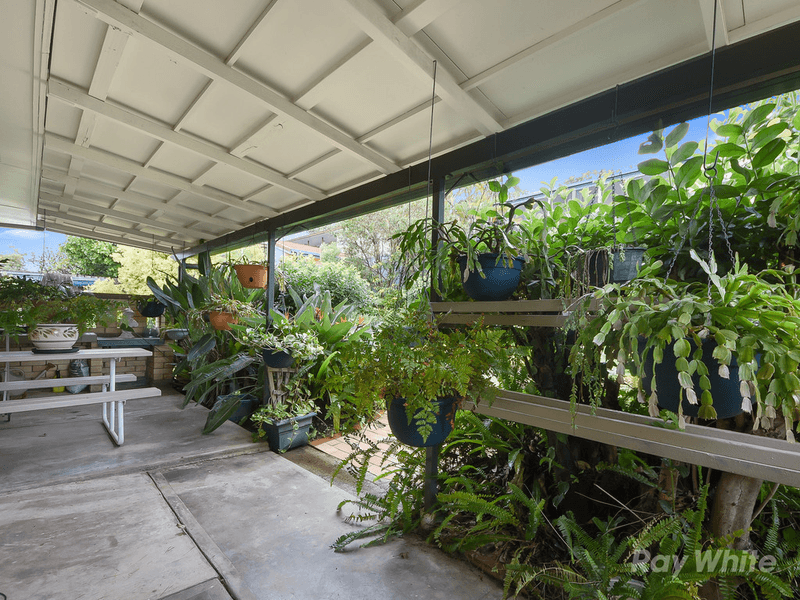 16 Mongabarra Street, BRACKEN RIDGE, QLD 4017