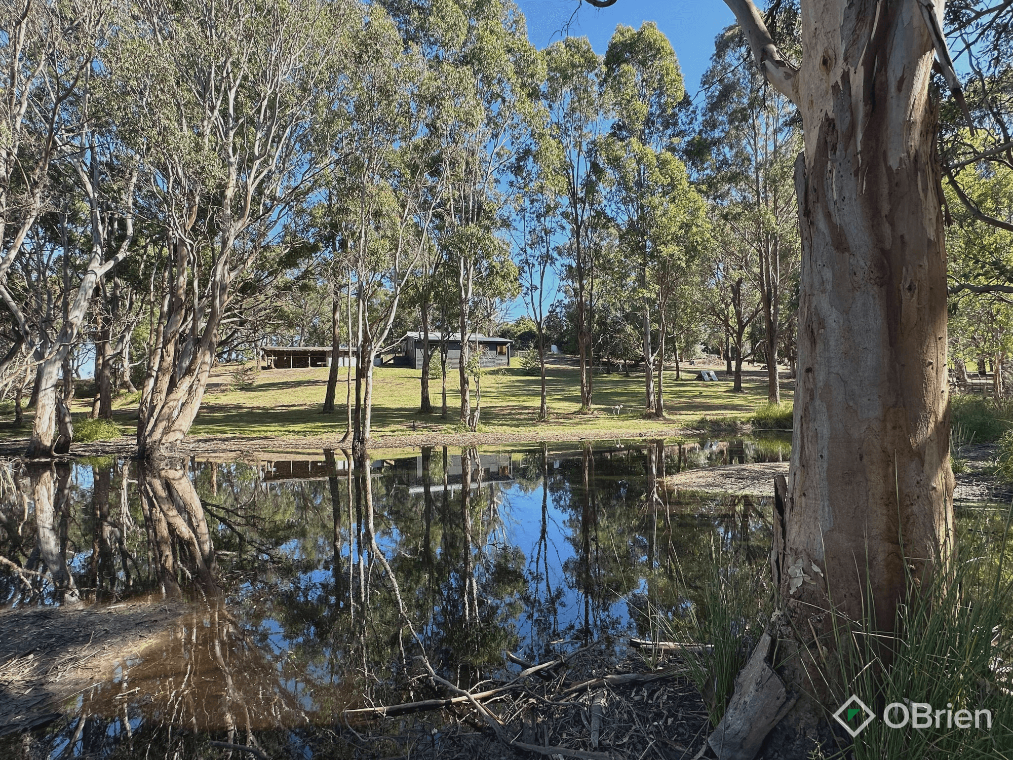 8 Ellasville Road, Nicholson, VIC 3882