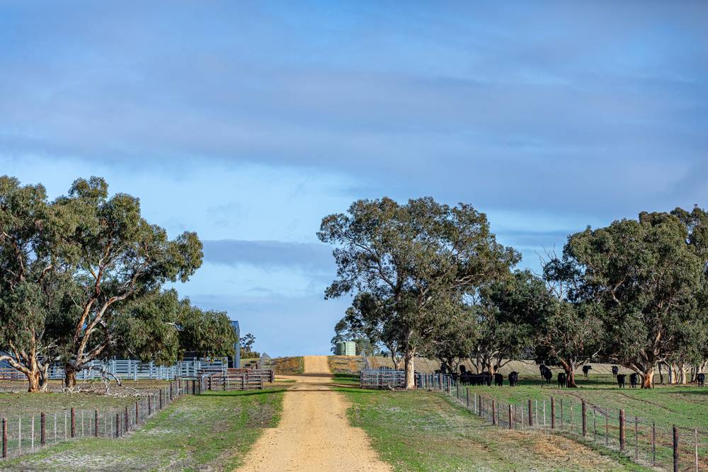 1911 Cadgee Road, Naracoorte, SA 5271