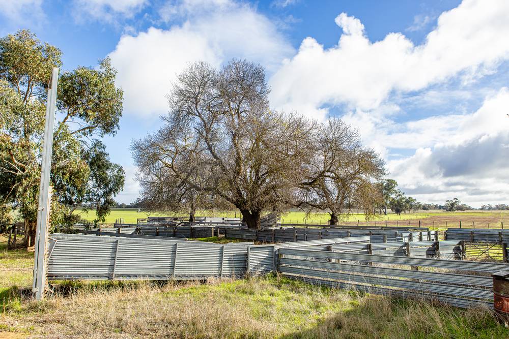 1911 Cadgee Road, Naracoorte, SA 5271