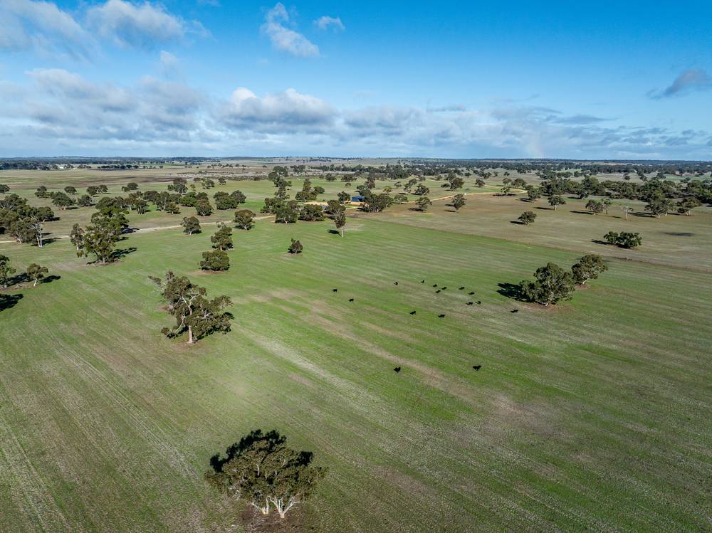 1911 Cadgee Road, Naracoorte, SA 5271