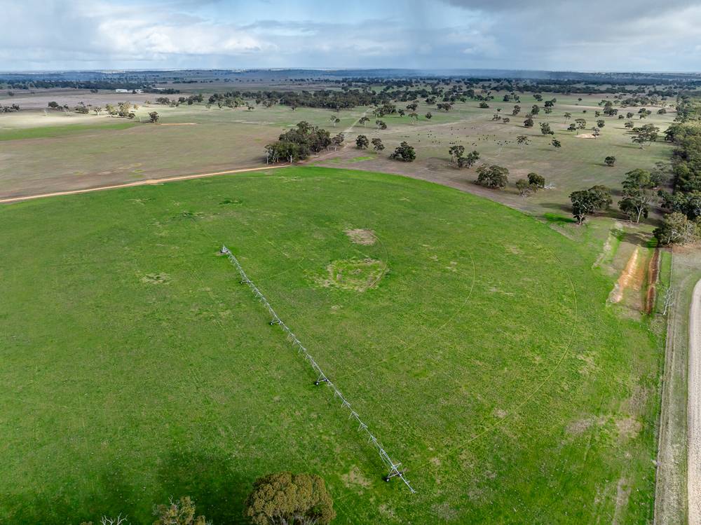 1911 Cadgee Road, Naracoorte, SA 5271