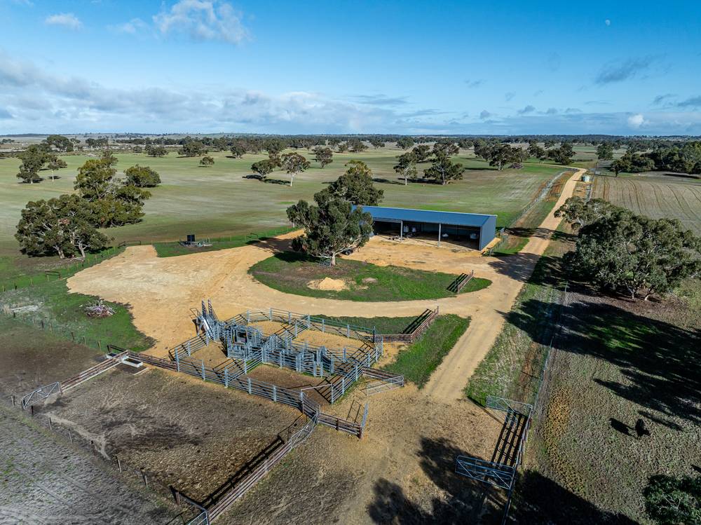 1911 Cadgee Road, Naracoorte, SA 5271