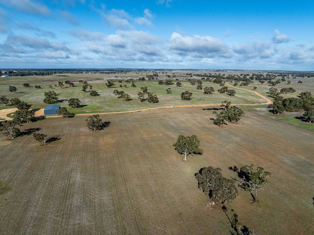 1911 Cadgee Road, Naracoorte, SA 5271